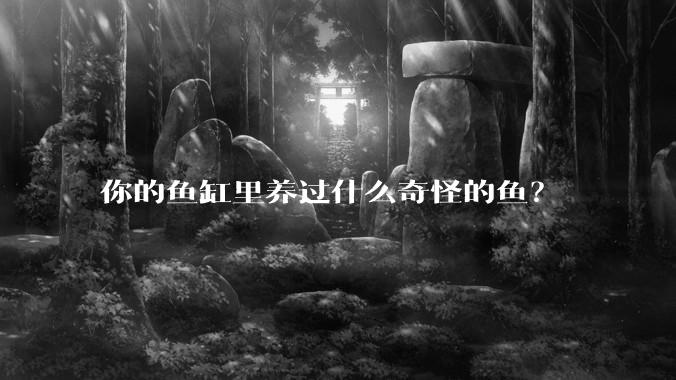 你的鱼缸里养过什么奇怪的鱼？