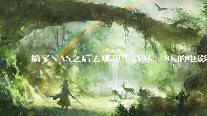搞了NAS之后去哪里下载4K，8K的电影？