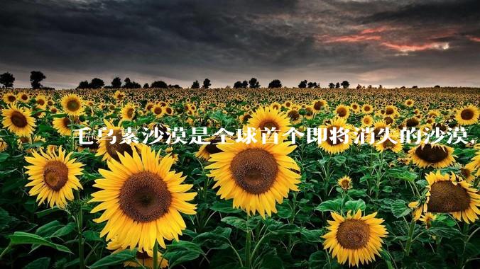 毛乌素沙漠是全球首个即将消失的沙漠，从荒漠到绿洲中国做了哪些工作？对当地生态有哪些影响？